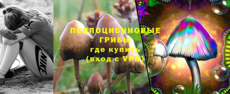 MEGA ССЫЛКА  Серов  Галлюциногенные грибы Magic Shrooms  где продают  